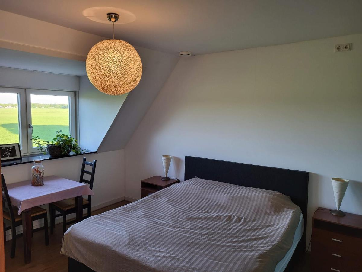 Bed & Breakfast De Vink Terschuur Zewnętrze zdjęcie